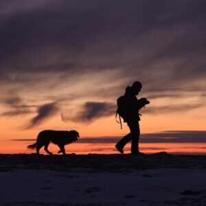 Group logo of Hiking with Dogs